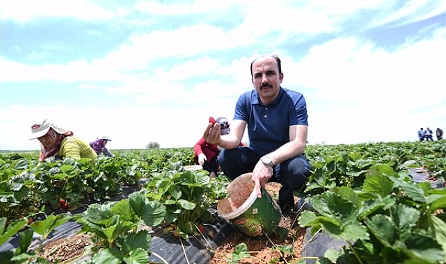 Başkan Altay: Hüyük çileği, AB tescili alan Konyamızın ilk ürünü oldu, hayırlı olsun