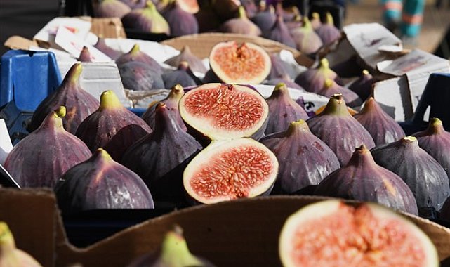 Başkan Aydın: Siyah incir Bursa’nın gözbebeği