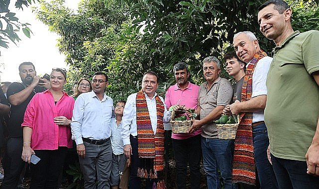 Başkan Böcek'ten avokado ve mango hasadı