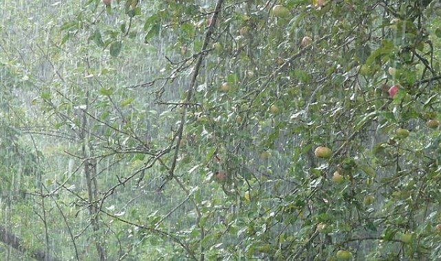 Batı Karadeniz'in iç kesimlerinde gök gürültülü sağanak yağış bekleniyor