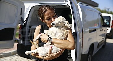 Geçici Bakımevi ve Rehabilitasyon Merkezi'nde sahiplendirme yoğunluğu