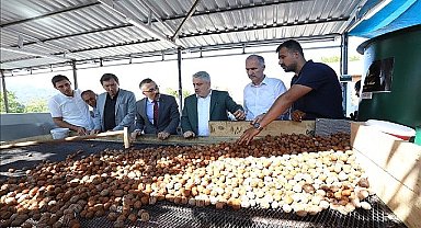 İnegöl'de Hedef 42 Bin Ton Ceviz