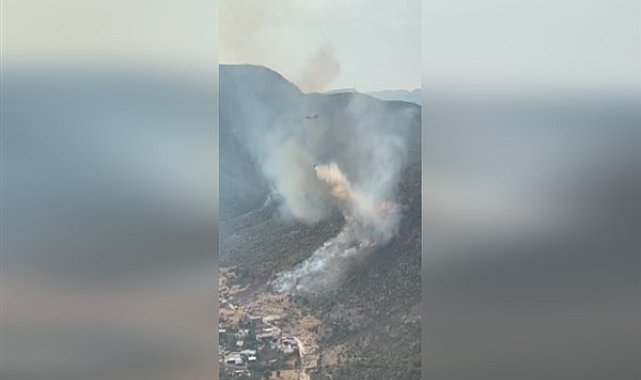İzmir'de iki ilçede çıkan yangına müdahale edildi