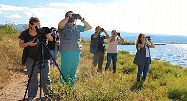 İzmit Körfezi'nin pembe süsleri geldi