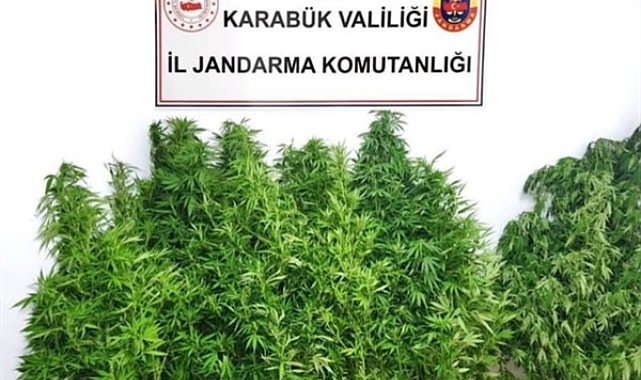 Karabük Yenice’de uyuşturucu operasyonu