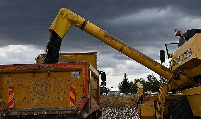 Lüleburgaz Belediyesi'nden ayçiçek hasadı