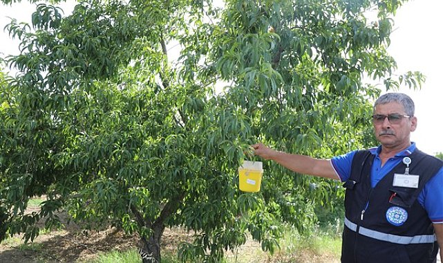 Muğla Büyükşehir Belediyesi’nden üreticilere destek