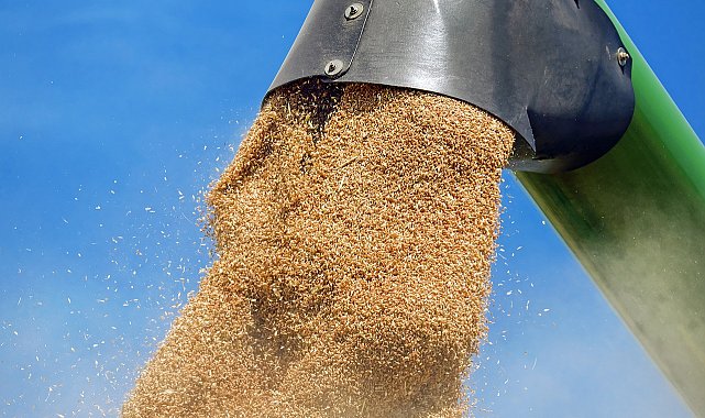 Oba Makarnacılık'tan buğday satış sözleşmesi