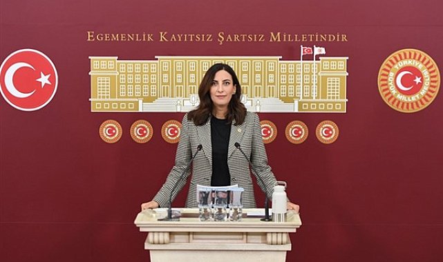 Rızvanoğlu: Yaylaların yönetimi ile ilgili eksiklikler var