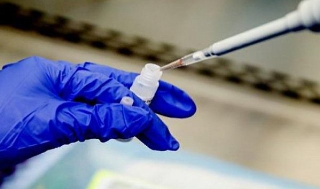 Sağlık Bakanlığı: Kanseri erken teşhis etmek tedaviyi ve iyileşmeyi kolaylaştırmaktadır