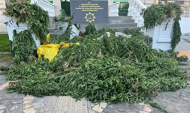 Şanlıurfa'da uyuşturucu operasyonu sonucu 6 şahıs gözaltına alındı