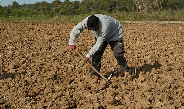 Starmer: İngiliz çiftçiler ekonomimize, kırsalımıza ve gıdamıza büyük katkı sağlıyor