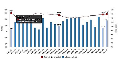 Tüik: İhracat birim değer endeksi %0,9 arttı