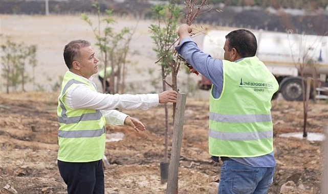 Yangın ormanında çiçekler açtı