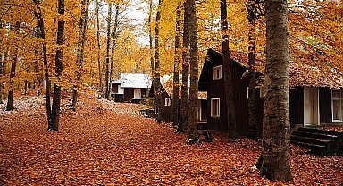 3.250 TL'den Başlayan Sonbahar Rotaları