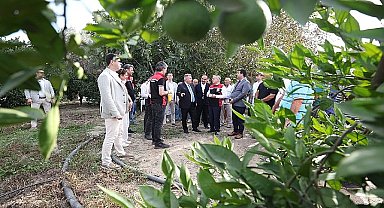 “Akdeniz Meyve Sineği İle Mücadelede Biyoteknik Yöntemlerin Yaygınlaştırılması Projesi