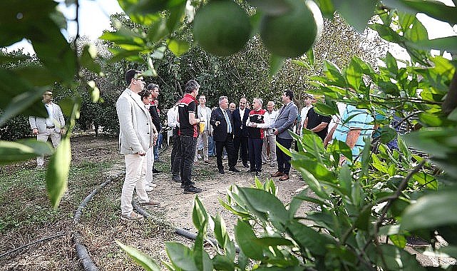 “Akdeniz Meyve Sineği İle Mücadelede Biyoteknik Yöntemlerin Yaygınlaştırılması Projesi