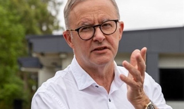 Albanese: Hükümete geldiğimizden beri 1 milyon yeni istihdam yaratıldı