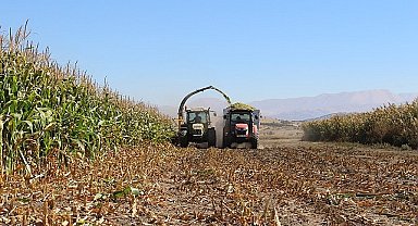 Antalya Büyükşehir Belediyesi tohum desteğiyle üreticilerin yanındaElmalı'da silajlık mısır hasadı yapıldı