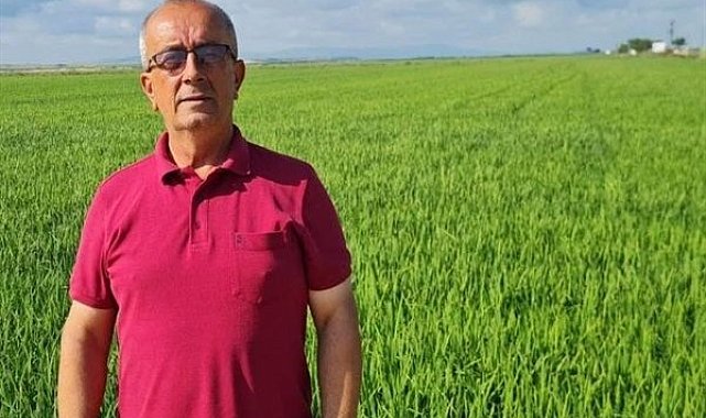 Balcılar: Bu kuraklık devam ederse çeltik ekimi olmaz