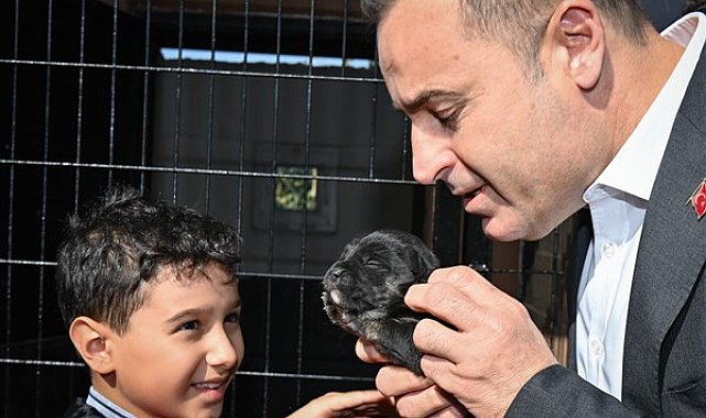 Başkan Akın: Kampanyamız ile 500’ün üzerinde can dostumuzu sahiplendirdik