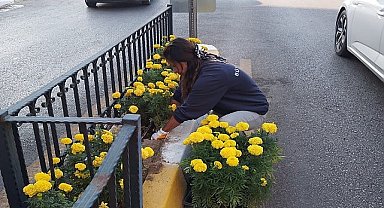 Başkan Çerçioğlu'nun hizmetleri vatandaşlardan tam not alıyor