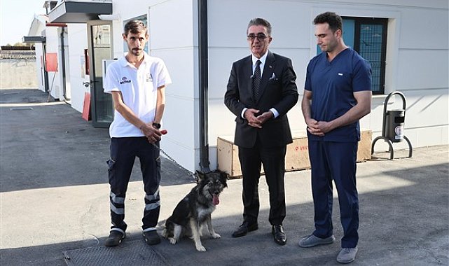 Başkan Mutlu, barınaktan köpek sahiplendi