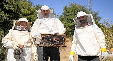 Bornova'da bal gibi proje
