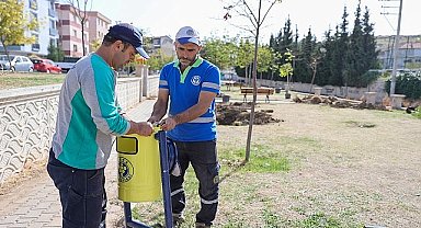 Buca'da yeşil seferberlik