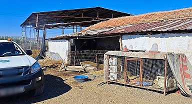 Büyükşehir'den 'Mavi Dil' Hastalığına Karşı Mücadele