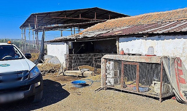 Büyükşehir'den 'Mavi Dil' Hastalığına Karşı Mücadele