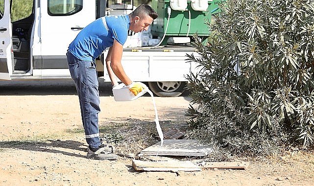 Didim'de ilaçlama çalışmaları aralıksız devam ediyor.