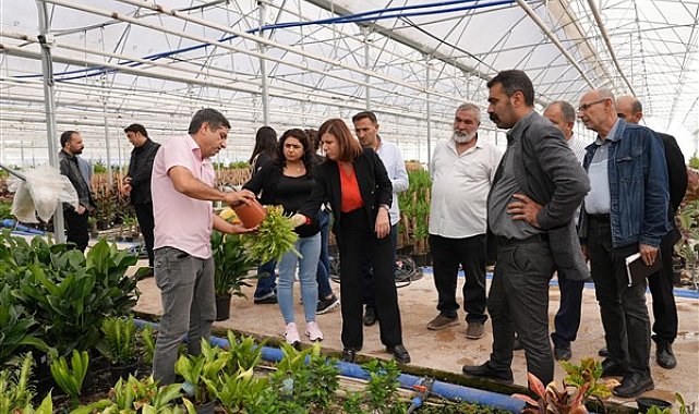 Diyarbakır Büyükşehir Belediyesi eş başkanları, Şanlıurfa’daki sera alanlarını inceledi