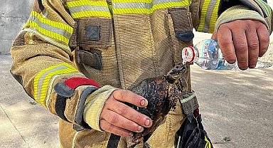 Foça'daki yangına İzmir İtfaiyesi ekipleri de müdahale etti