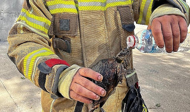 Foça'daki yangına İzmir İtfaiyesi ekipleri de müdahale etti