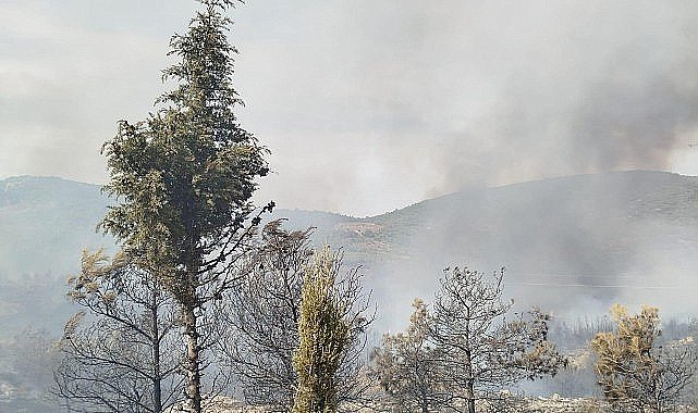 Foça yangını kontrol altına alındı