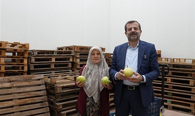 Hayriye teyze Gürsu armudu ile girişimci oldu