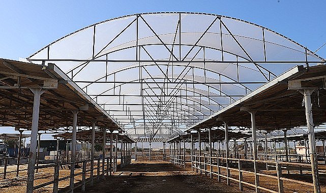 Hayvan Pazarı'nda 600 metrekare alanın üstü kapatıldı