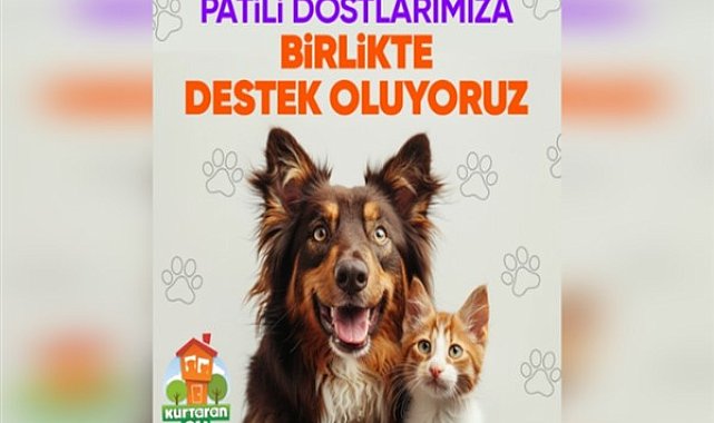 Hepsiburada, Patili Dostlara Destek kampanyasıyla dayanışmayı büyütmeye davet ediyor