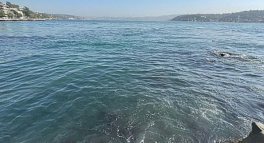 İBB'nin bağlı kuruluşu İstanbul Su ve Kanalizasyon İdaresi (İSKİ), Baltalimanı'nda boğaza atık su akışı olduğu iddialarını yalanladı