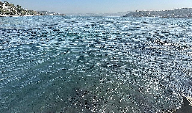 İBB'nin bağlı kuruluşu İstanbul Su ve Kanalizasyon İdaresi (İSKİ), Baltalimanı'nda boğaza atık su akışı olduğu iddialarını yalanladı