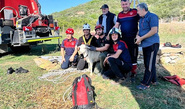 İzmir İtfaiyesi, Menderes'te kuyuya düşen keçiyi kurtardı