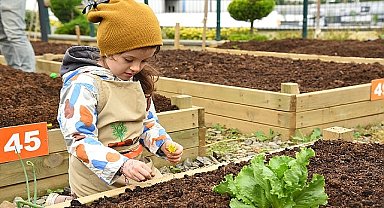 Kadıköy Bostanları'nda Kış Dönemi Başvuruları Başladı