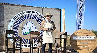 Maritaş Denim, Harran Ovası'nda İkinci Rejeneratif Pamuk Hasadını Gerçekleştirdi