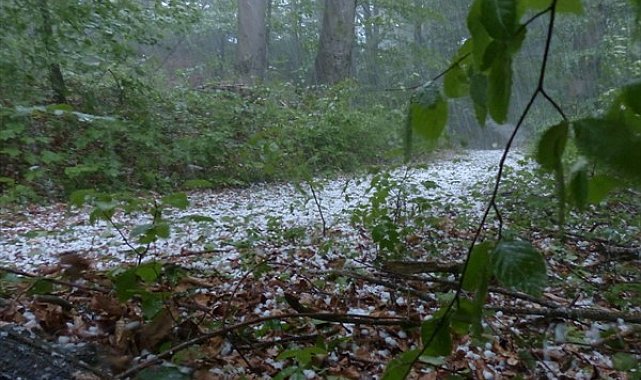 Meteoroloji'den kuvvetli yağış uyarısı