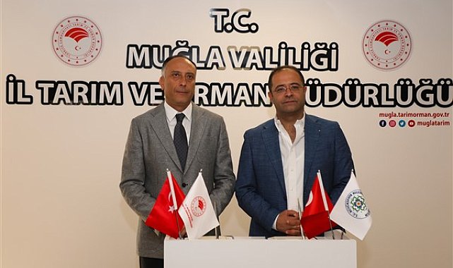 Muğla'da