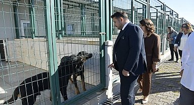 Patili Dostlara Miniklerden Ziyaret