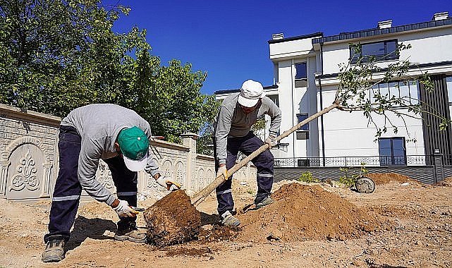 Selçuklu'da Yeşil Doku Güçlendiriliyor