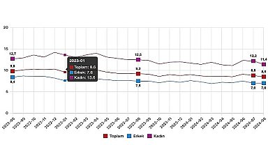 Tüik: Mevsim etkisinden arındırılmış işsizlik oranı %8,5 seviyesinde gerçekleşti