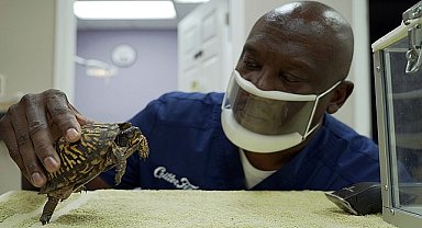 'Veteriner Dostlar: Sürüngenler Özel' 20 Ekim Pazar Günü 20.00'de National Geographic WILD Ekranlarında!